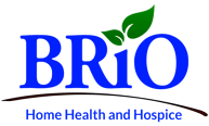 BRiO-Logo-transparent (1)