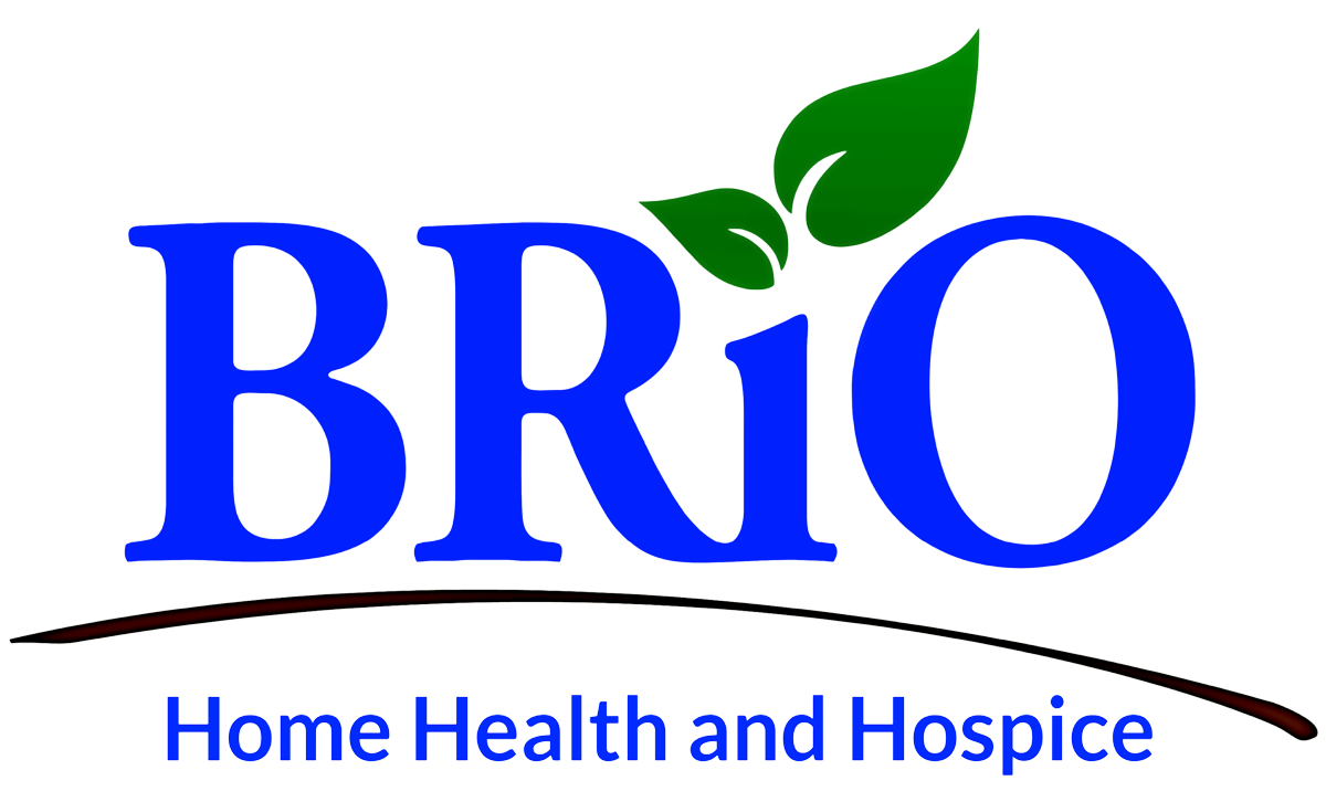 BRiO-Logo-transparent (1)