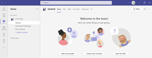 Microsoft Teams user interface